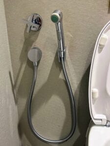Handheld bidet, hand shower, push shower, toilet shower
