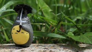 Totoro photo by Kyla Duhamel