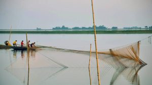 Tanguar Haor, Bangladesh, Mohammad Tauheed, CC-BY-NC 2.0