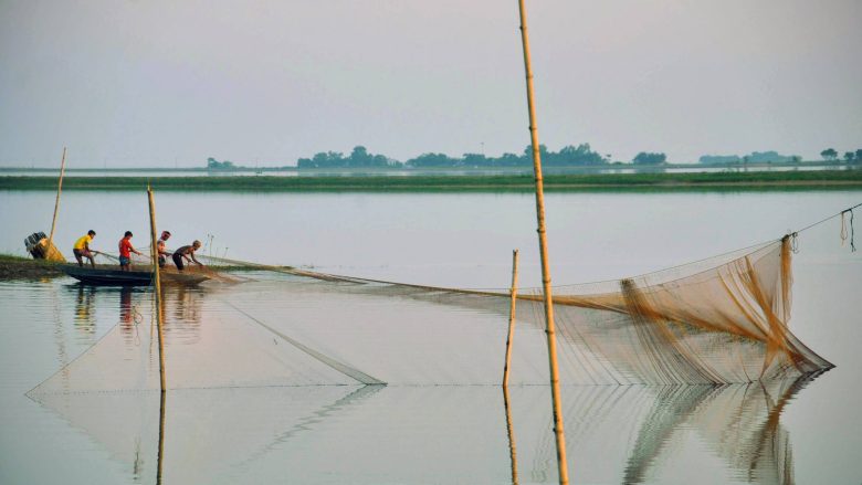 Tanguar Haor, Bangladesh, Mohammad Tauheed, CC-BY-NC 2.0
